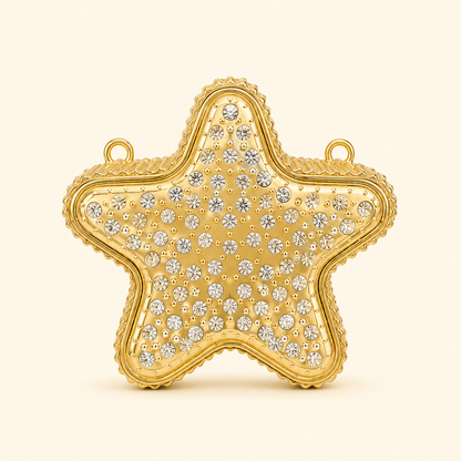 Star Mini Clutch metal
