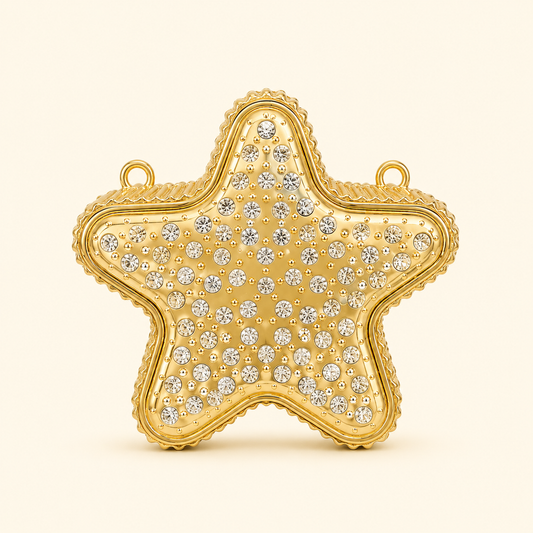 Star Mini Clutch metal