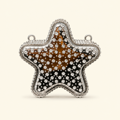 Star Mini Clutch metal